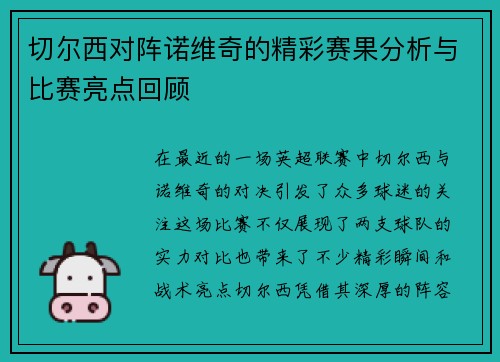 切尔西对阵诺维奇的精彩赛果分析与比赛亮点回顾