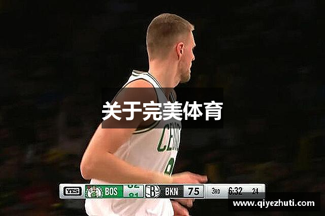关于完美体育